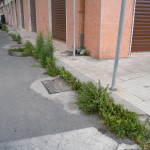 DSCF0486