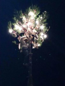 festeggiamenti san giorgio 2