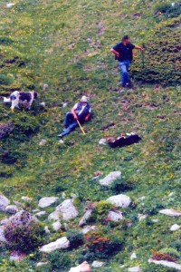 Cane ucciso a bastonate, turista documenta con foto