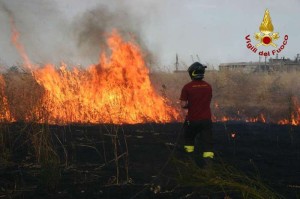 Incendi: vigili del fuoco al lavoro per spegnere roghi