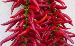 peperoncino