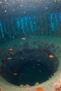 saline (6)-1 (Medium)