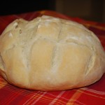pagnotta