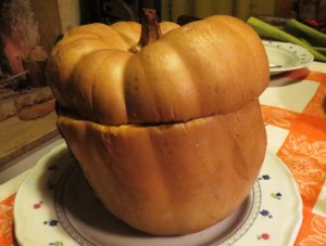 zucca2