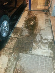 20141128_170500_resized