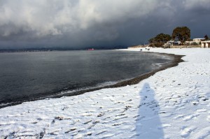 neve reggio2