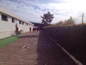 reggina (1)