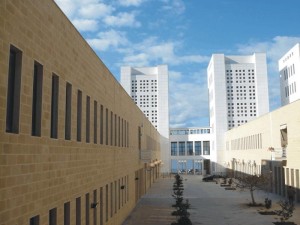 università_mediterranea