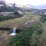 10994318_10205811185189639_9071492429105419121_n