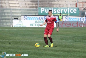 armellino