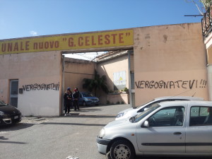 Celeste - Tifosi Vergognatevi