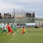 Nigro - foto © Furrer