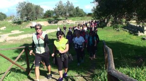 locri 2014 scavi archiìeologici