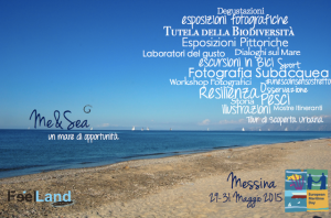 MeSea_Locandina_Attività.002