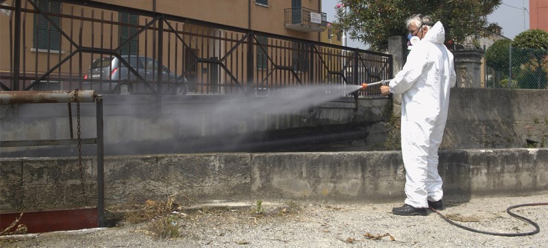 disinfestazione in città