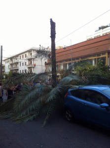 palma crollata a messina