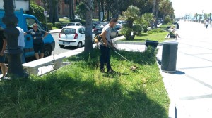 Aiuola Lungomare (1)