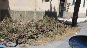 degrado messina (6)