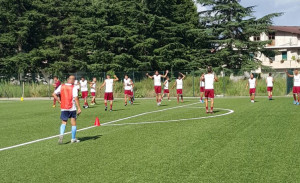 reggina (2)