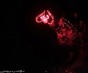 fuochi d'artificio (5)