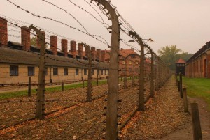 Auschwitz-Birkenau (18)
