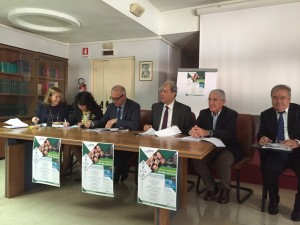 alternanza scuola-lavoro ite piria azienda ospedaliera (4)