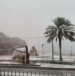 Neve (4)