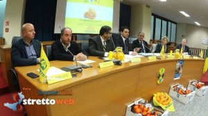 arance della salute airc (13)