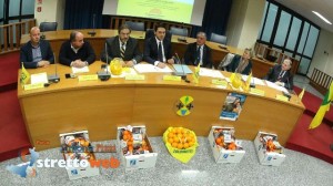 arance della salute airc (3)