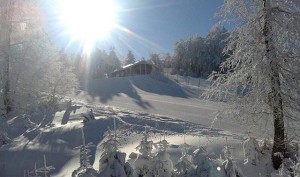 gambarie-neve-640x379