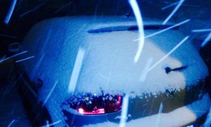 neve (28)