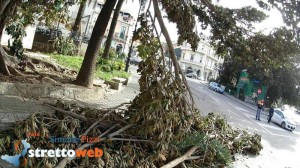 albero caduto via marina (5)
