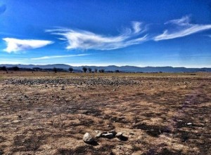 siccità-sila-lago-cecita-1-568x420