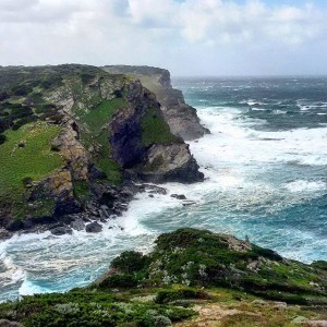 maestrale-in-sardegna-300x300