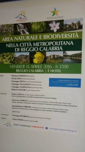 Area Naturale e biodiversità nella Città Metropolitana di Reggio Calabria (9)