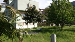 centro sant'eufemia