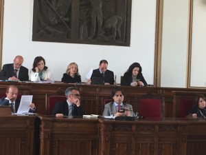 consiglio comunale sanità (4)