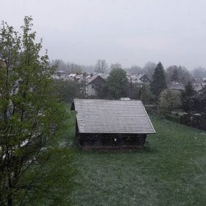 neve-oggi-300x300