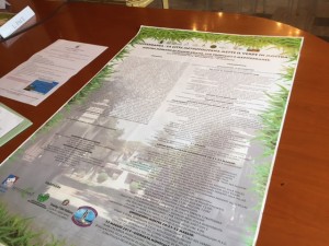 reggio verde in mostra (3)