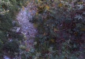 Messina Torrente Bisconte Catarratti