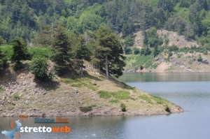 diga del menta (22)