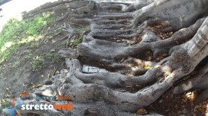 foto lungomare reggio (28)