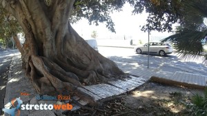 foto lungomare reggio (36)