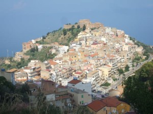 caronia