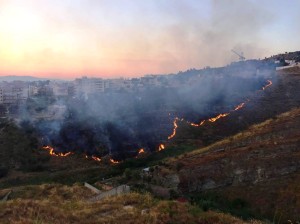 incendio reggio calabria (3)