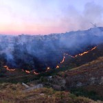 incendio reggio calabria (4)