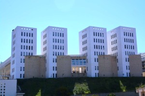 università mediterranea