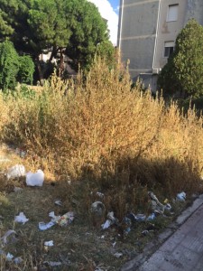 Degrado Reggio (1)