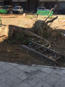 Degrado Reggio (5)