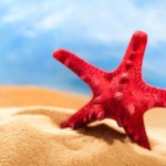 FERRAGOSTO-2016-640x393